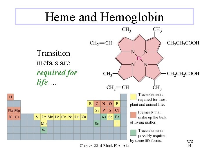 Heme and Hemoglobin Transition metals are required for life … Chapter 22: d-Block Elements