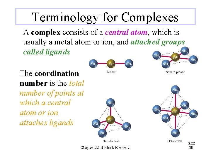 Terminology for Complexes A complex consists of a central atom, which is usually a