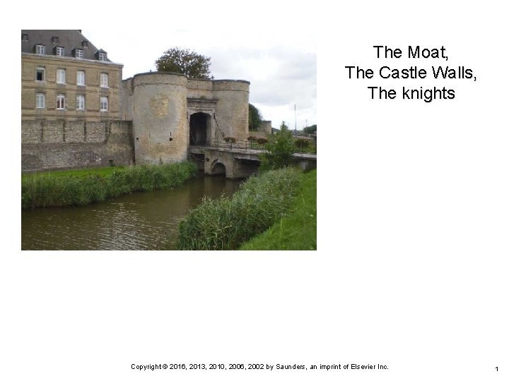 The Moat, The Castle Walls, The knights Copyright © 2016, 2013, 2010, 2006, 2002