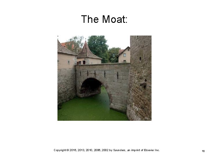 The Moat: Copyright © 2016, 2013, 2010, 2006, 2002 by Saunders, an imprint of