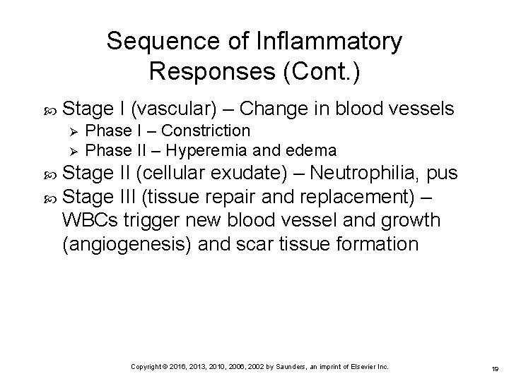 Sequence of Inflammatory Responses (Cont. ) Stage I (vascular) – Change in blood vessels