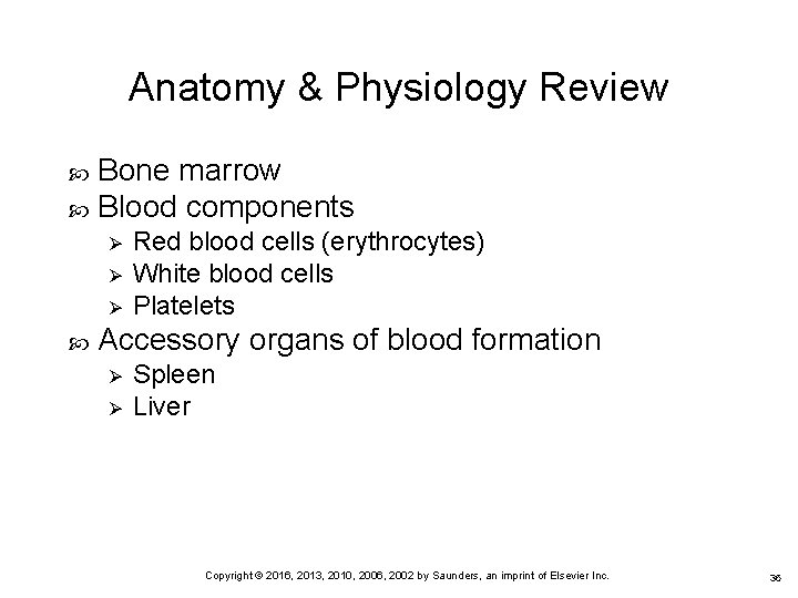 Anatomy & Physiology Review Bone marrow Blood components Ø Ø Ø Red blood cells