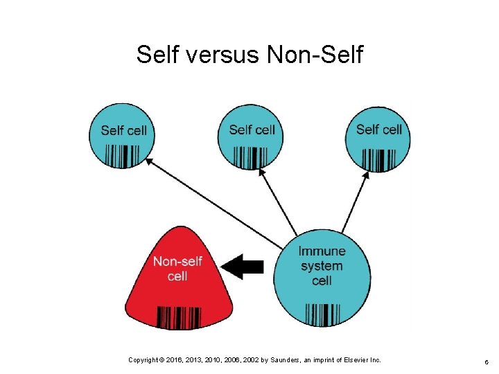 Self versus Non-Self Copyright © 2016, 2013, 2010, 2006, 2002 by Saunders, an imprint