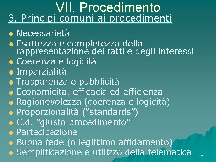 VII. Procedimento 3. Principi comuni ai procedimenti Necessarietà u Esattezza e completezza della rappresentazione