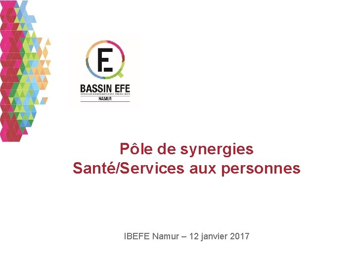 Pôle de synergies Santé/Services aux personnes IBEFE Namur – 12 janvier 2017 