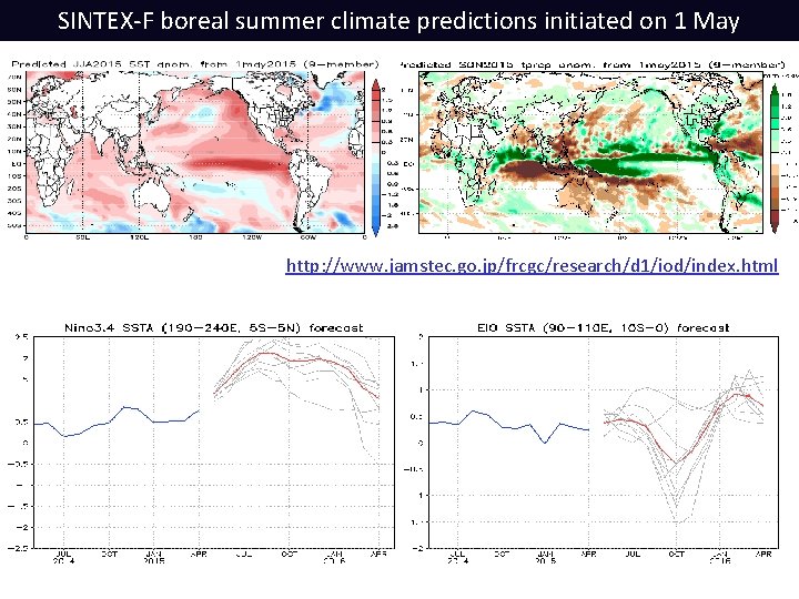SINTEX-F boreal summer climate predictions initiated on 1 May http: //www. jamstec. go. jp/frcgc/research/d