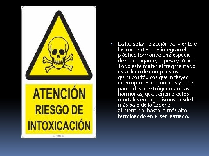  La luz solar, la acción del viento y las corrientes, desintegran el plástico