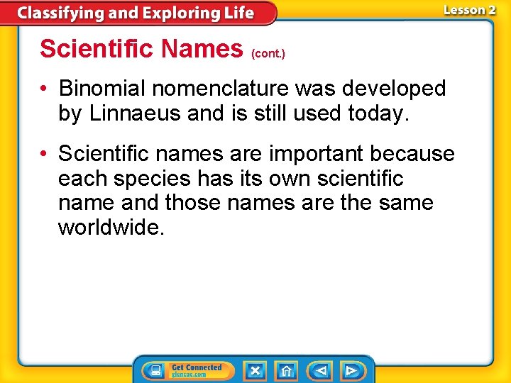 Scientific Names (cont. ) • Binomial nomenclature was developed by Linnaeus and is still