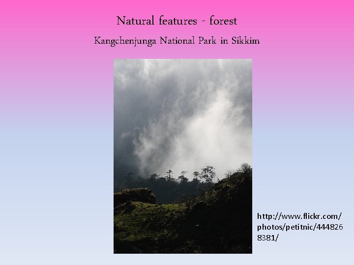 Natural features - forest Kangchenjunga National Park in Sikkim http: //www. flickr. com/ photos/petitnic/444826 Natural features - forest Kangchenjunga National Park in Sikkim http: //www. flickr. com/ photos/petitnic/444826