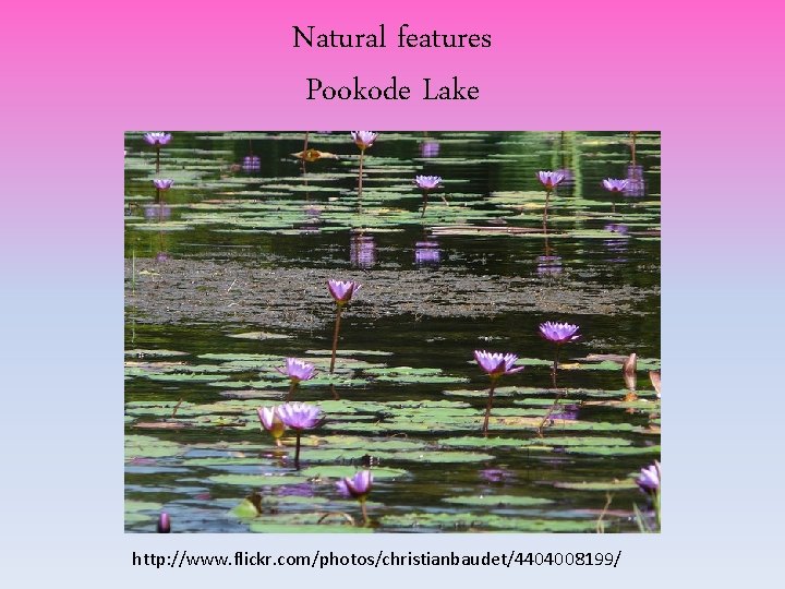 Natural features Pookode Lake http: //www. flickr. com/photos/christianbaudet/4404008199/ Natural features Pookode Lake http: //www. flickr. com/photos/christianbaudet/4404008199/