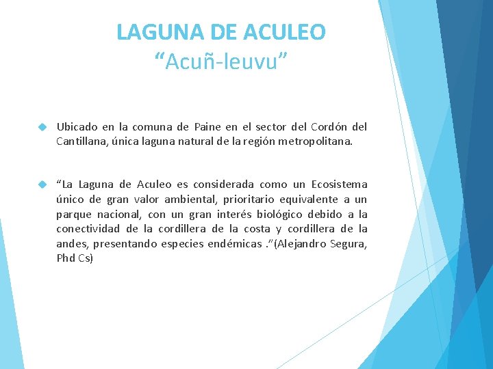 LAGUNA DE ACULEO “Acuñ-leuvu” Ubicado en la comuna de Paine en el sector del