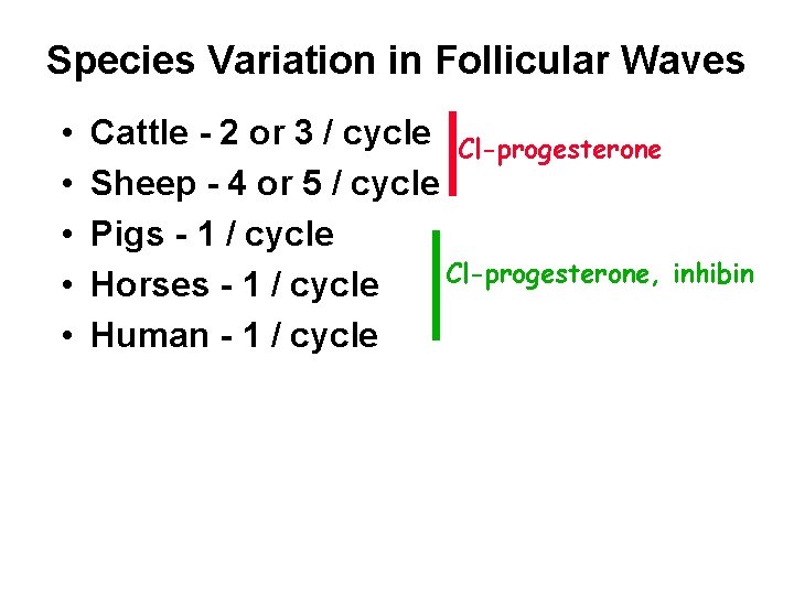 Species Variation in Follicular Waves • • • Cattle - 2 or 3 /
