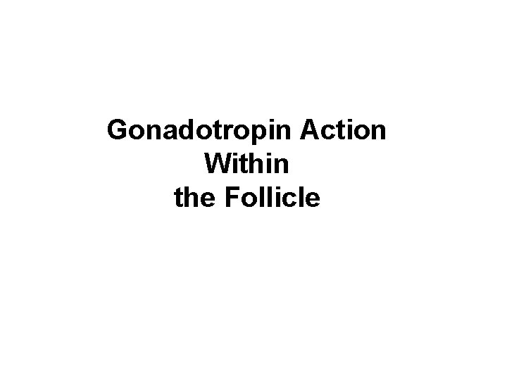 Gonadotropin Action Within the Follicle 