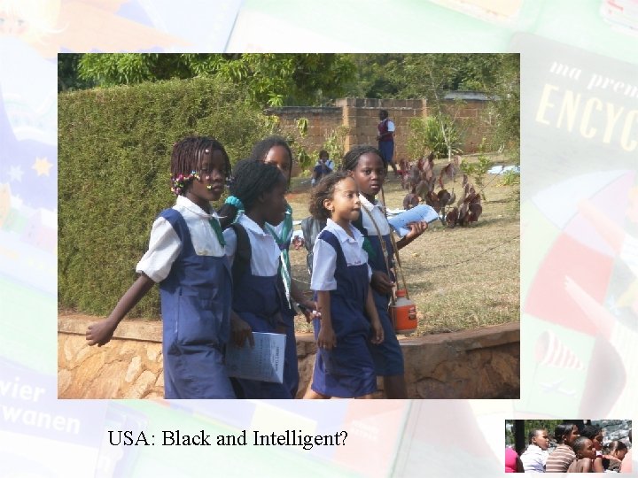 USA: Black and Intelligent? 