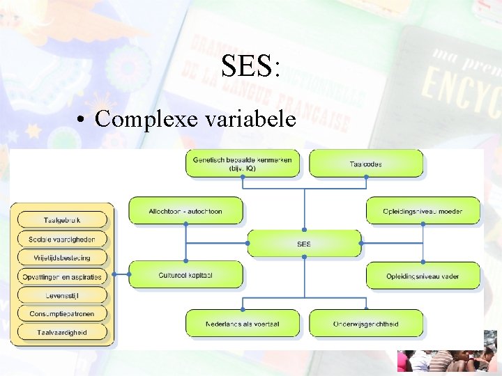 SES: • Complexe variabele 