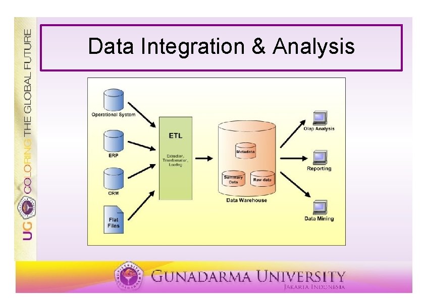 Data Integration & Analysis 