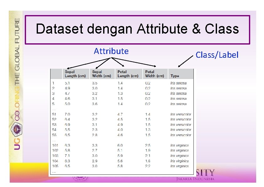 Dataset dengan Attribute & Class Attribute Class/Label 