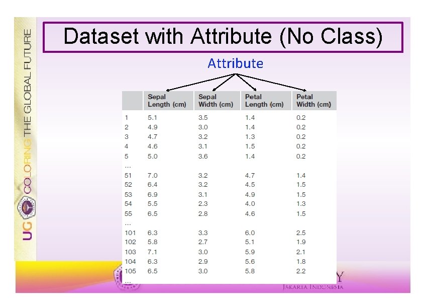 Dataset with Attribute (No Class) Attribute 