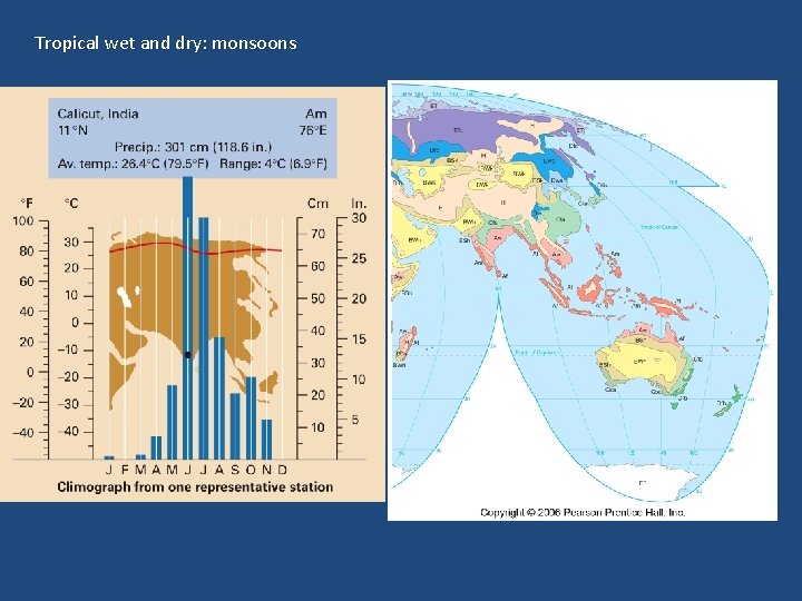 Tropical wet and dry: monsoons 