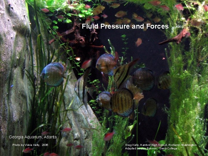 Fluid Pressure and Forces Georgia Aquarium, Atlanta Photo by Vickie Kelly, 2006 Greg Kelly,