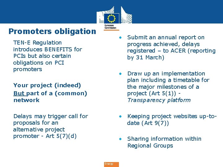 Promoters obligation • Submit an annual report on progress achieved, delays registered – to