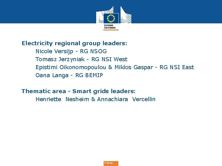  • Electricity regional group leaders: § Nicole Versijp - RG NSOG § Tomasz