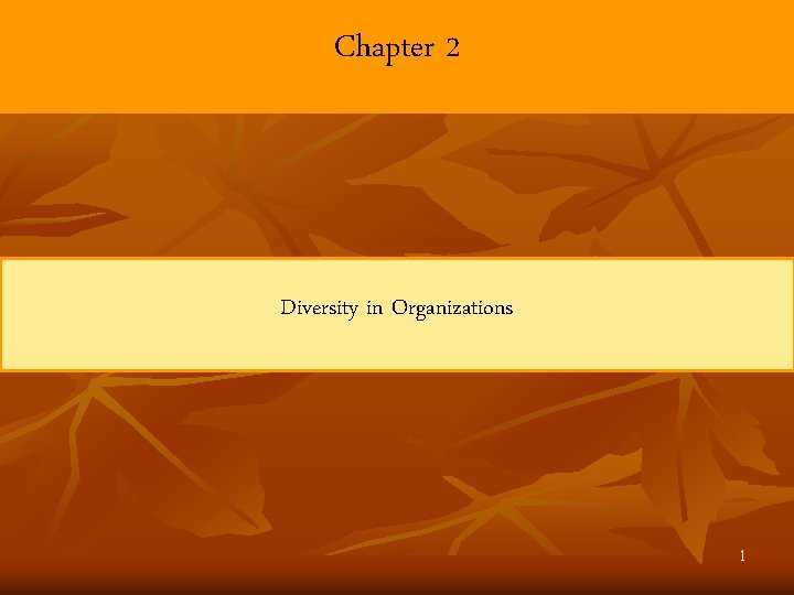 Chapter 2 Diversity in Organizations 1 