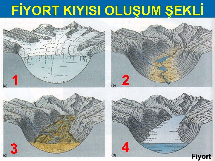 FİYORT KIYISI OLUŞUM ŞEKLİ 1 2 3 4 