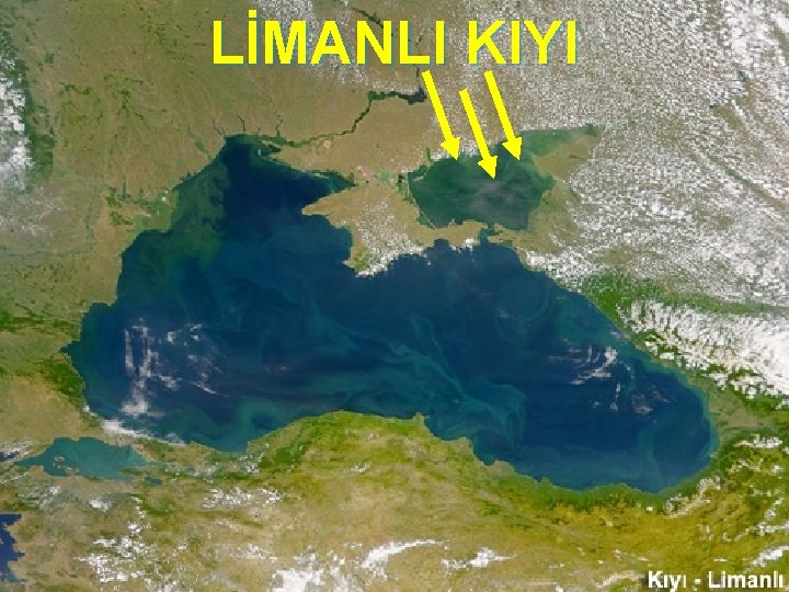 LİMANLI KIYI 