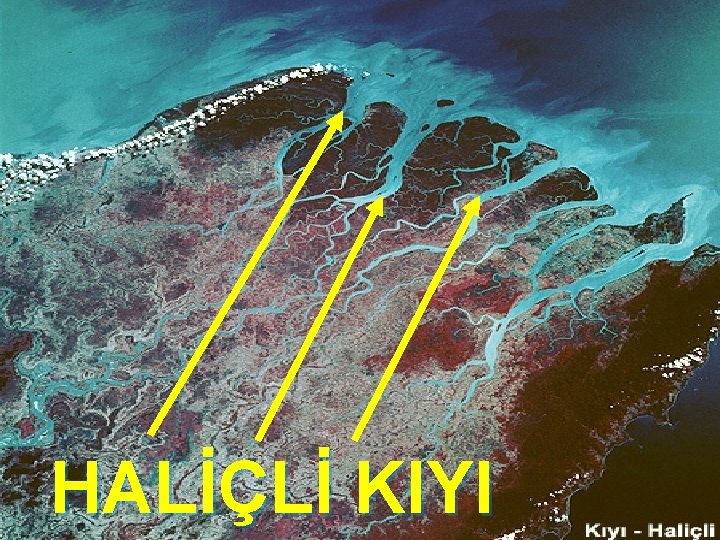 HALİÇLİ KIYI 