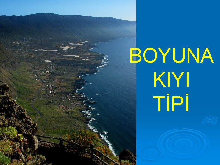 BOYUNA KIYI TİPİ 