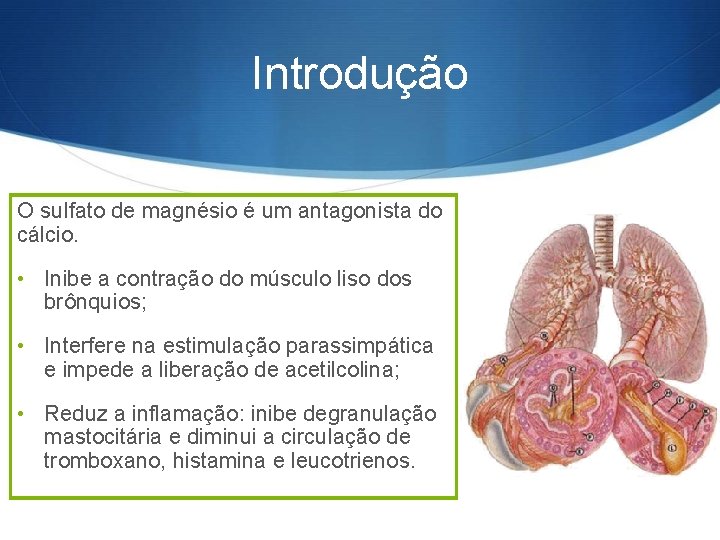 Introdução O sulfato de magnésio é um antagonista do cálcio. • Inibe a contração