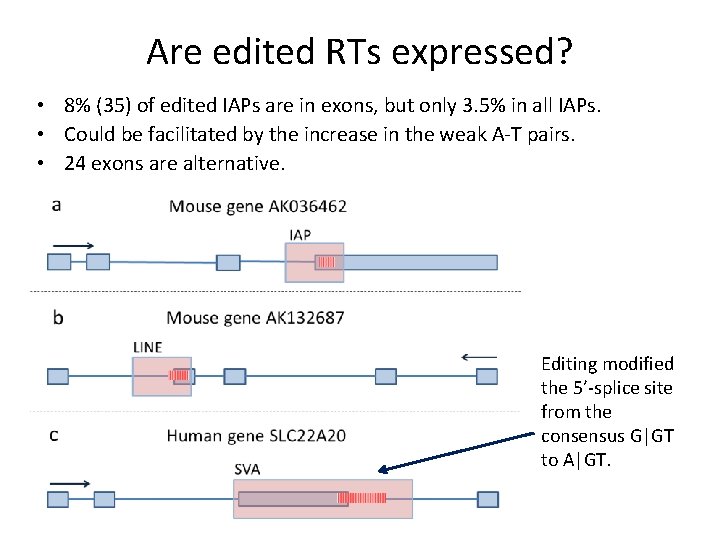 Are edited RTs expressed? • 8% (35) of edited IAPs are in exons, but