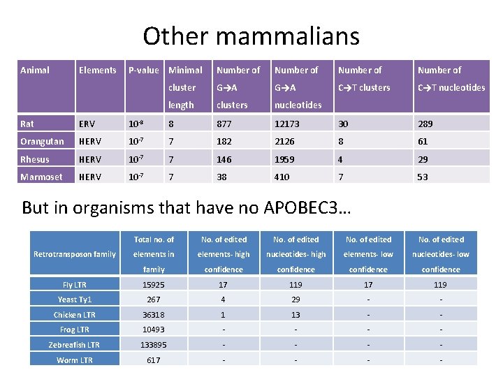 Other mammalians Animal Elements P-value Minimal Number of cluster G→A C→T clusters C→T nucleotides