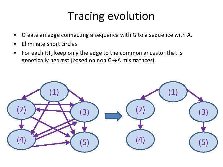 Tracing evolution • Create an edge connecting a sequence with G to a sequence