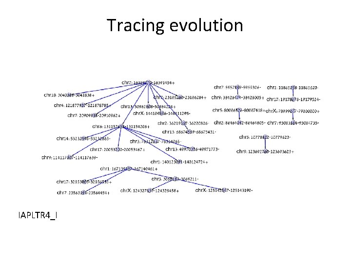 Tracing evolution IAPLTR 4_I 