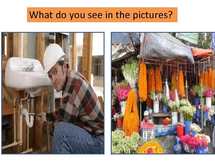 What do you see in the pictures? 