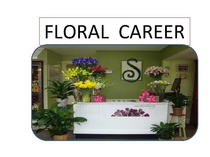 FLORAL CAREER 