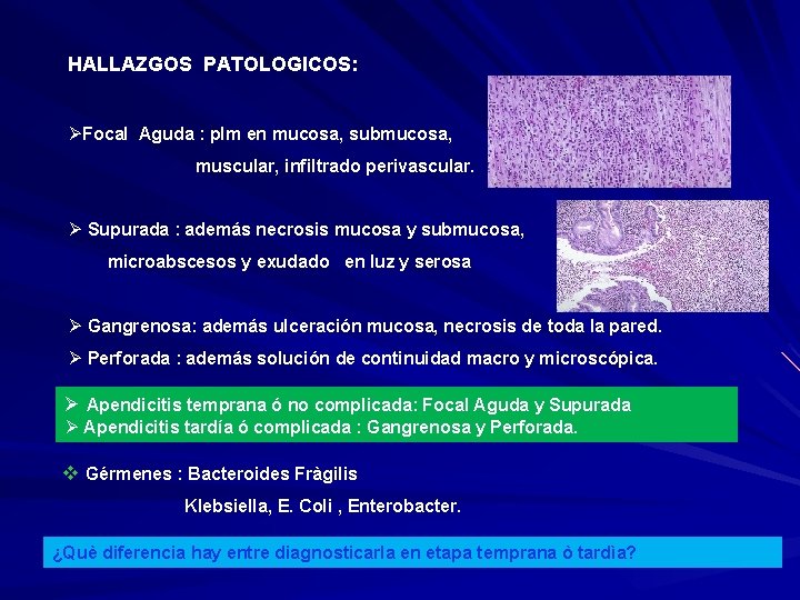 HALLAZGOS PATOLOGICOS: ØFocal Aguda : plm en mucosa, submucosa, muscular, infiltrado perivascular. Ø Supurada