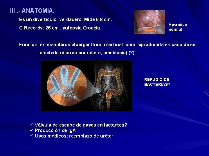 III. - ANATOMIA. Es un divertículo verdadero. Mide 6 -8 cm. G Records: 26