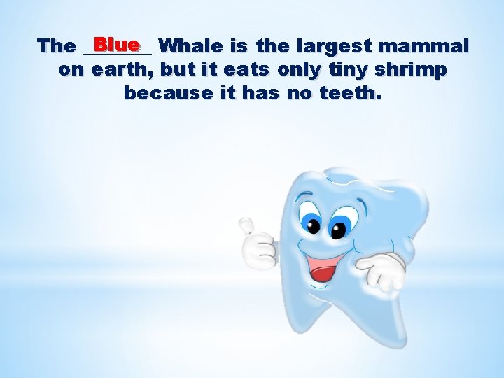 Blue Whale is the largest mammal The _______ on earth, but it eats only