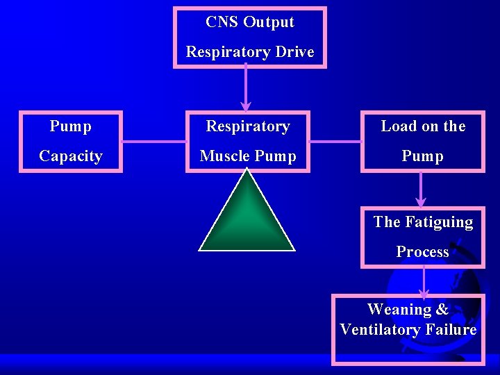 CNS Output Respiratory Drive Pump Respiratory Load on the Capacity Muscle Pump The Fatiguing
