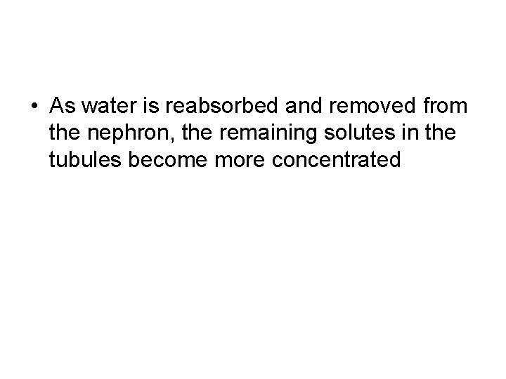  • As water is reabsorbed and removed from the nephron, the remaining solutes