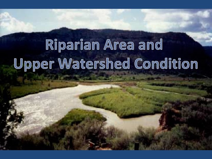 Riparian Area and Upper Watershed Condition 