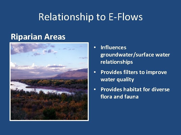 Relationship to E-Flows Riparian Areas • Influences groundwater/surface water relationships • Provides filters to