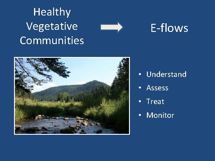 Healthy Vegetative Communities E-flows • Understand • Assess • Treat • Monitor 