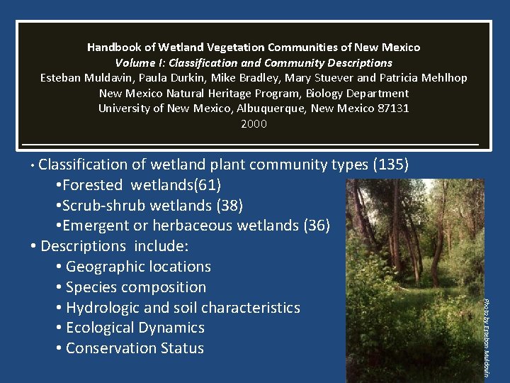 Handbook of Wetland Vegetation Communities of New Mexico Volume I: Classification and Community Descriptions