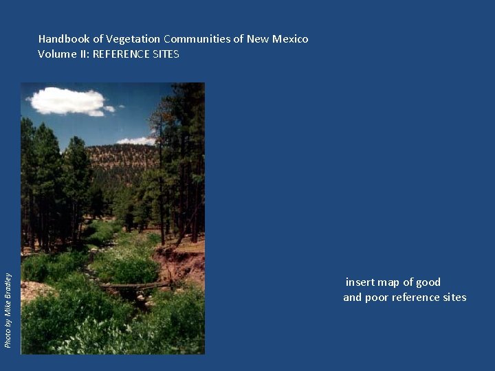 Photo by Mike Bradley Handbook of Vegetation Communities of New Mexico Volume II: REFERENCE