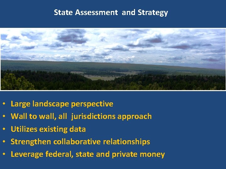 State Assessment and Strategy • • • Large landscape perspective Wall to wall, all