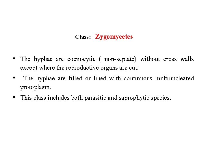 Class: Zygomycetes • The hyphae are coenocytic ( non-septate) without cross walls except where